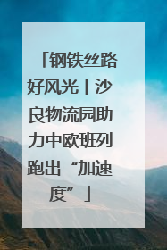 钢铁丝路好风光丨沙良物流园助力中欧班列跑出“加速度”