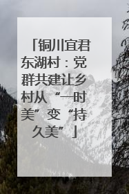 铜川宜君东湖村：党群共建让乡村从“一时美”变“持久美”
