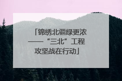 锦绣北疆绿更浓——“三北”工程攻坚战在行动