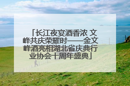 长江夜宴酒香浓 文峰共庆荣耀时——金文峰酒亮相湖北省庆典行业协会十周年盛典