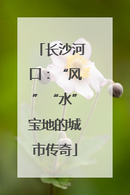 长沙河口：“风”“水”宝地的城市传奇