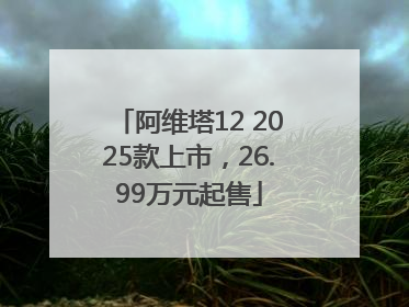 阿维塔12 2025款上市，26.99万元起售