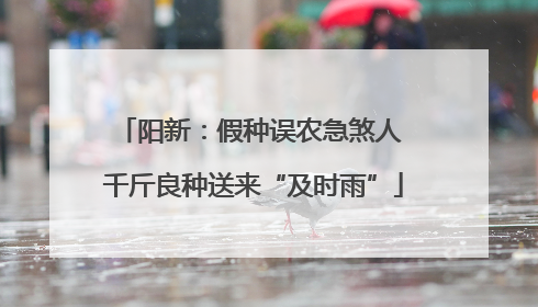阳新：假种误农急煞人 千斤良种送来“及时雨”