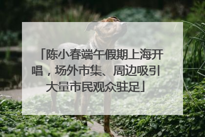陈小春端午假期上海开唱，场外市集、周边吸引大量市民观众驻足