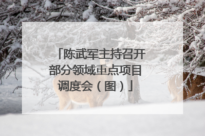 陈武军主持召开部分领域重点项目调度会（图）