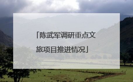 陈武军调研重点文旅项目推进情况