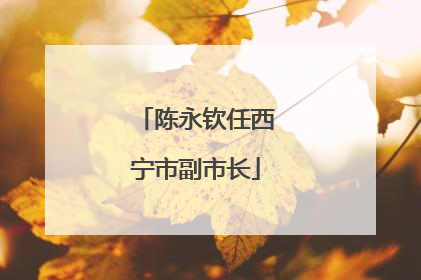 陈永钦任西宁市副市长