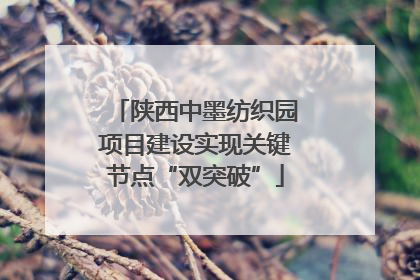 陕西中墨纺织园项目建设实现关键节点“双突破”
