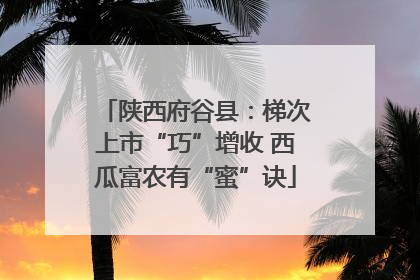 陕西府谷县：梯次上市“巧”增收 西瓜富农有“蜜”诀