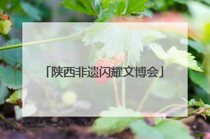 陕西非遗闪耀文博会