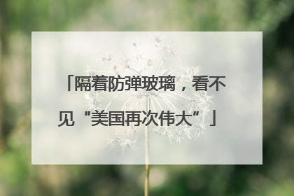 隔着防弹玻璃，看不见“美国再次伟大”