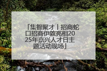 集智聚才丨招商蛇口招商伊敦亮相2025年嘉兴人才日主题活动现场