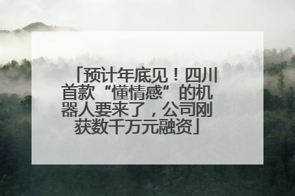 预计年底见！四川首款“懂情感”的机器人要来了，公司刚获数千万元融资