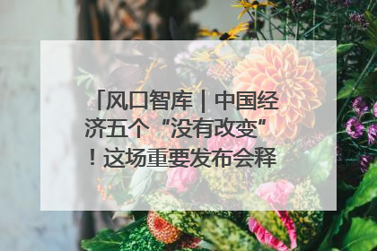 风口智库｜中国经济五个“没有改变”！这场重要发布会释放三点信号