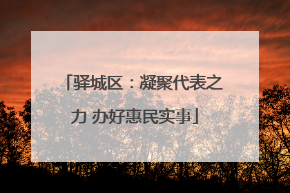 驿城区：凝聚代表之力 办好惠民实事