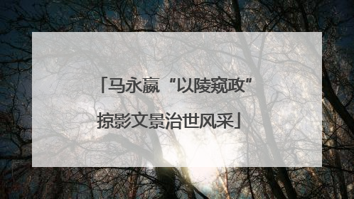 马永嬴“以陵窥政” 掠影文景治世风采