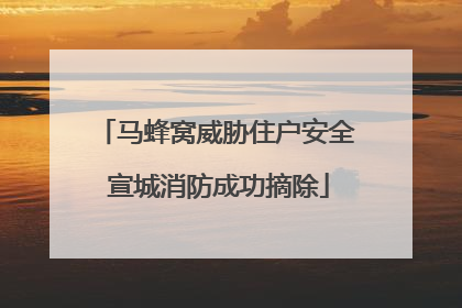 马蜂窝威胁住户安全 宣城消防成功摘除