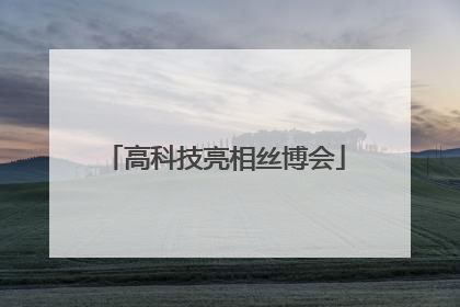高科技亮相丝博会