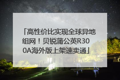 高性价比实现全球异地组网！贝锐蒲公英R300A海外版上架速卖通