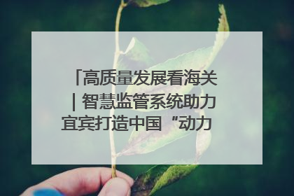 高质量发展看海关｜智慧监管系统助力宜宾打造中国“动力电池之都”