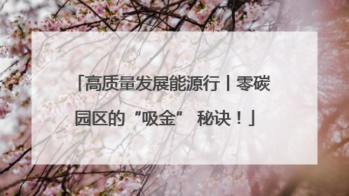 高质量发展能源行丨零碳园区的“吸金” 秘诀！