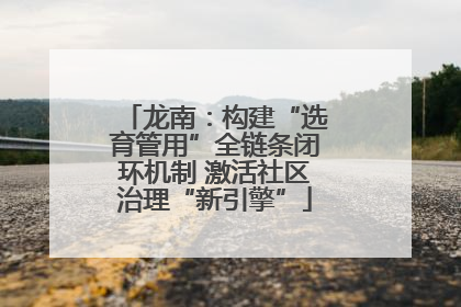 龙南：构建“选育管用”全链条闭环机制 激活社区治理“新引擎”