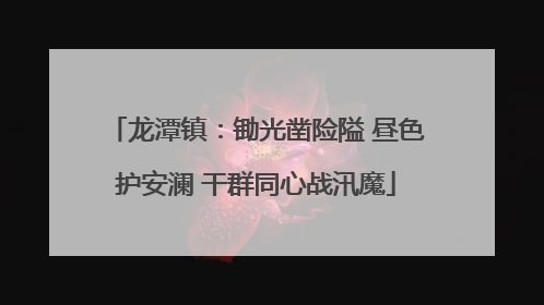 龙潭镇：锄光凿险隘 昼色护安澜 干群同心战汛魔
