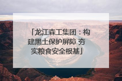 龙江森工集团：构建黑土保护屏障 夯实粮食安全根基