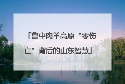 鲁中肉羊高原“零伤亡”背后的山东智慧