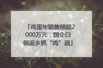 鸡蛋年销售额超2000万元，国企白领返乡抓“鸡”遇