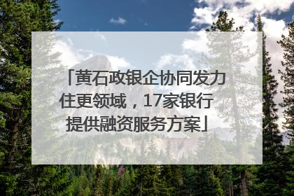 黄石政银企协同发力住更领域，17家银行提供融资服务方案