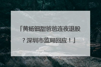 黄杨钿甜爸爸连夜退股？深圳市监局回应！