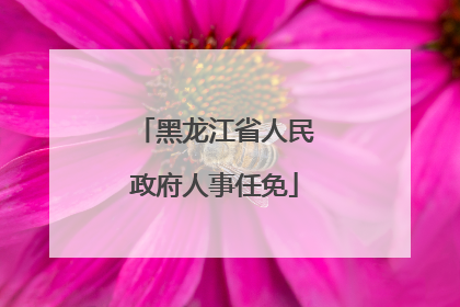 黑龙江省人民政府人事任免