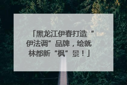 黑龙江伊春打造“伊法调”品牌，绘就林都新“枫”景！