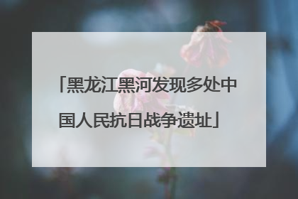 黑龙江黑河发现多处中国人民抗日战争遗址