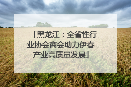 黑龙江：全省性行业协会商会助力伊春产业高质量发展