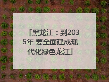 黑龙江:到2035年 要全面建成现代化绿色龙江