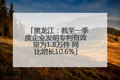 黑龙江：截至一季度企业发明专利有效量为1.8万件 同比增长10.6%