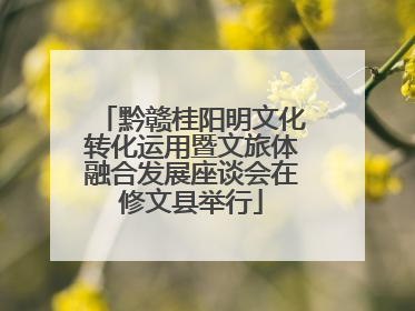 黔赣桂阳明文化转化运用暨文旅体融合发展座谈会在修文县举行