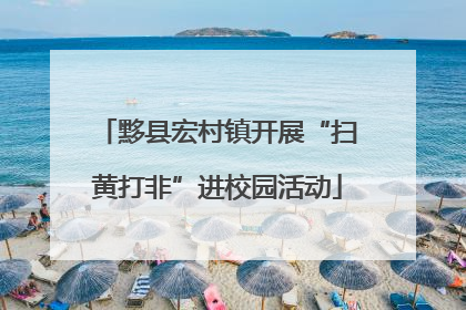 黟县宏村镇开展“扫黄打非”进校园活动