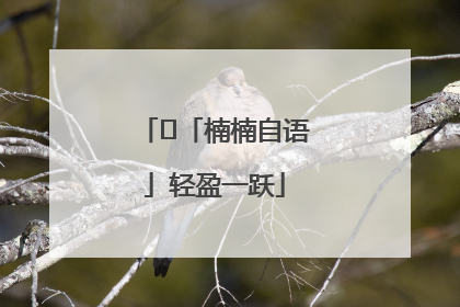 ﻿「楠楠自语」轻盈一跃
