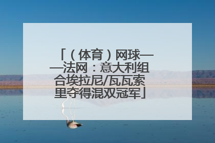 （体育）网球——法网：意大利组合埃拉尼/瓦瓦索里夺得混双冠军