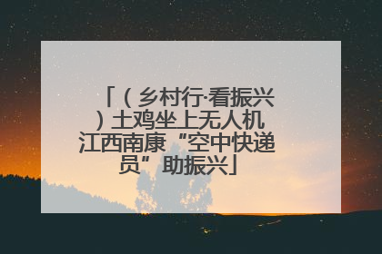 （乡村行·看振兴）土鸡坐上无人机 江西南康“空中快递员”助振兴