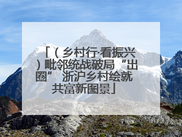 （乡村行·看振兴）毗邻统战破局“出圈” 浙沪乡村绘就共富新图景