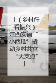 （乡村行·看振兴）江西安福“小西瓜”撬动乡村共富“大支点”