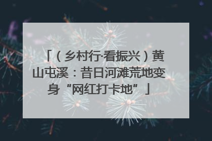 （乡村行·看振兴）黄山屯溪：昔日河滩荒地变身“网红打卡地”