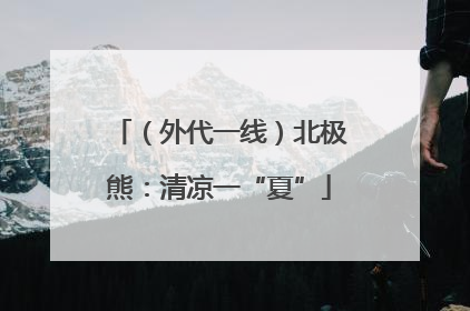 （外代一线）北极熊：清凉一“夏”