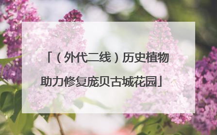 （外代二线）历史植物助力修复庞贝古城花园