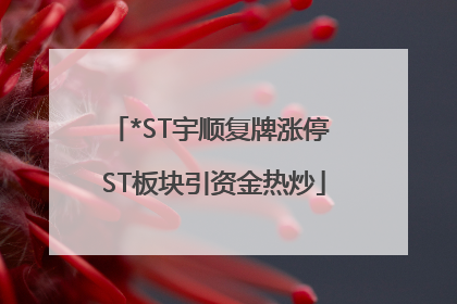 *ST宇顺复牌涨停 ST板块引资金热炒