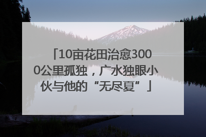 10亩花田治愈3000公里孤独，广水独眼小伙与他的“无尽夏”